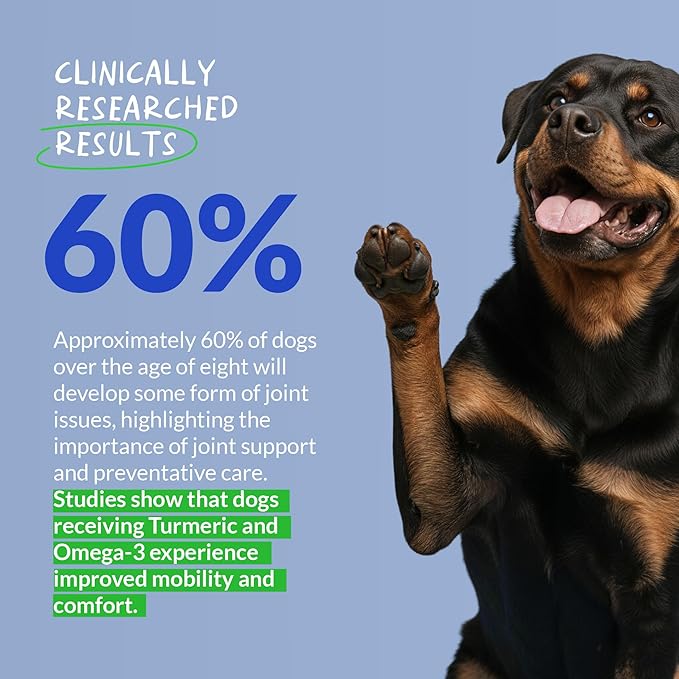 Turmeric Curcumin for Dogs - 90 Soft Chews - with Collagen, BioPerine and Fish Oil - Hip & Joint Support, Ease Inflammation, Antioxidant.