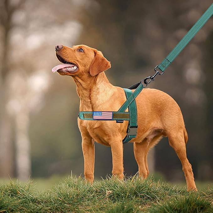 Annchwool No Pull Dog Harness with Soft Padded Handle,Reflective Strip Escape Proof and Quick Fit to Adjust Dog Harness,Easy for Training Walking for Small & Medium and Large Dogs(Green,S)