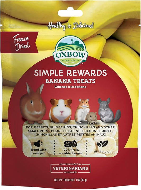 Oxbow Simple Rewards Small Pet Treats, Banana, Freeze Dried Fruit, Guinea Pig & Bunny Treats, Healthy Pet Fruit Snack for Rabbit & Guinea Pig, Freeze Dried Bananas, 1 oz Bag