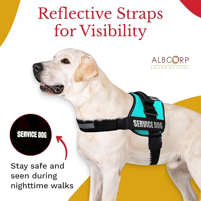 Service Dog Vest Harness – Reflective Service Animal Vest, No-Pull Harness with Handle & Mesh Padding – Sizes XXS-XL for Puppies – 2 Removable Service Patches Included (Extra Large, Blue)