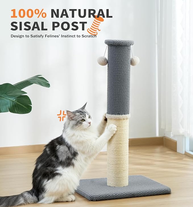 Made4Pets Tall Cat Scratching Post with Sisal & Carpet for Indoor Cats, 33" | Cat Scratcher with Wide Stable Base, Interactive Hanging Toys, Ideal for Adult Cats, Large Breeds and Full-Body Stretching
