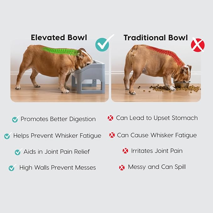 IRIS USA Elevated Pet Feeding Station, Adjustable, Double Bowls, Gray | Made in USA, Feeding Trough, Removable Double Food and Water Bowls, Easy Clean Design, Indoor Pet Feeding System