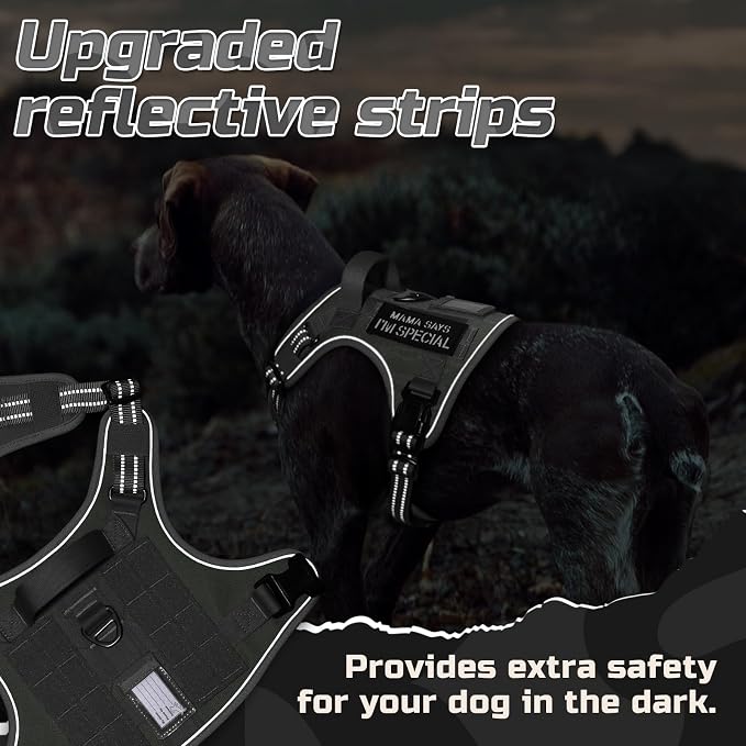rabbitgoo Tactical Dog Harness for X-Large, No Pull Military Service Vest | Molle & Handle, Heavy Duty, Adjustable, Reflective Straps, Easy Control for Training Walking, Grey, X-Large