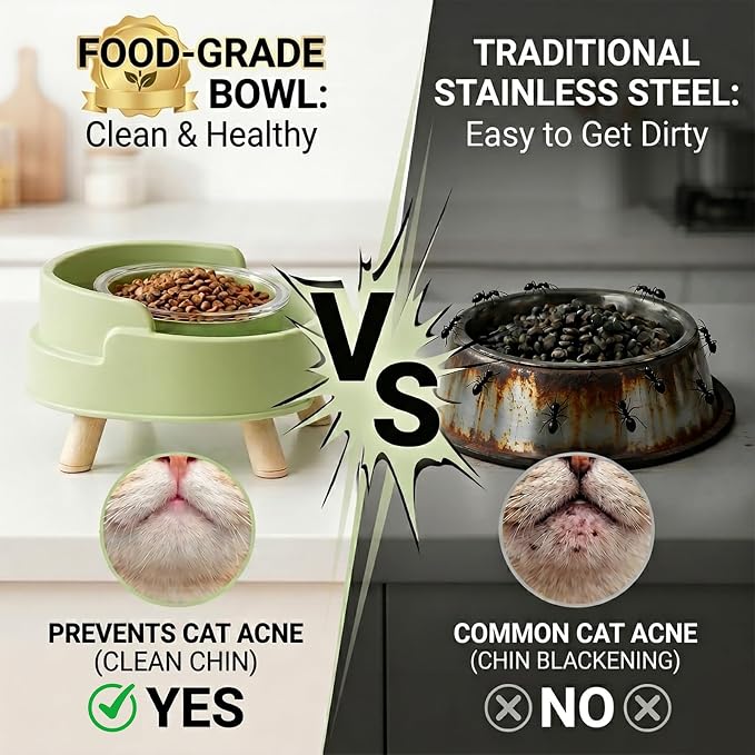 2 Pack Ant Not Cross Elevated Cat Bowls Mess Proof-4 Food Grade Glass Bowls & 2 Lids- No Spill Cat Food and Water Feeding Station for Cats&Puppy Indoor & Outdoor,No Whisker Fatigue Dish,Green