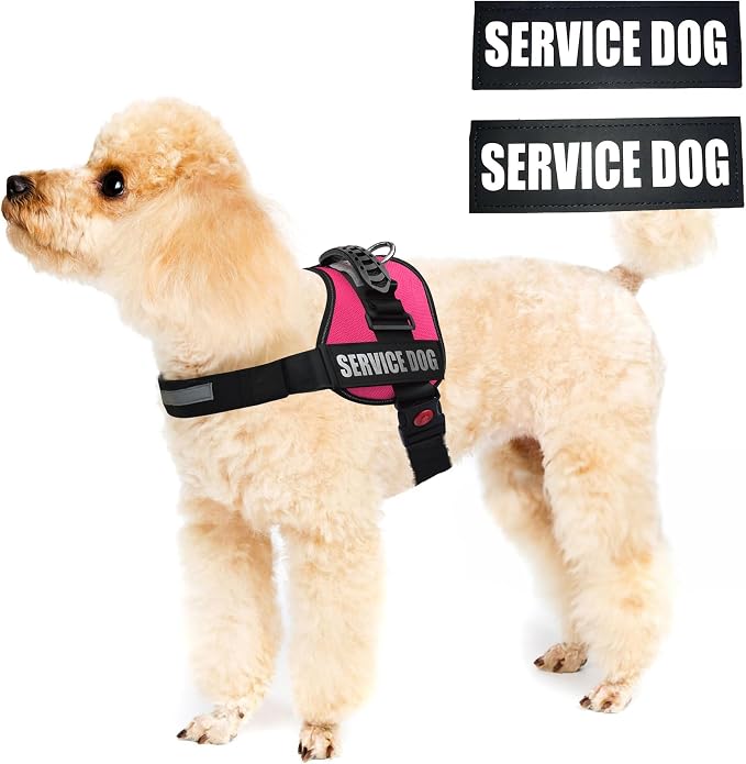 Service Dog Vest Harness – Reflective Service Animal Vest, No-Pull Harness with Handle & Mesh Padding – Sizes XXS-XL for Puppies – 2 Removable Service Patches Included (Small, Pink)