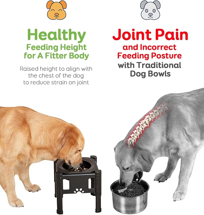 Elevated Slow Feeder Bowls - Adjustable Raised Dog & Cat Bowl | 3 Heights (6.1", 7.7", 9.3") for Medium & Small Pets, Mess Proof & Non-Slip Dish Feeder