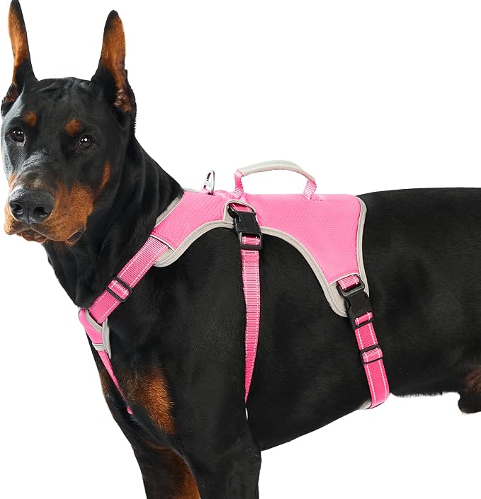 Escape Proof Dog Harness, Dachshund Harness, Reflective Dog Harness with Handle, Durable,Adjustable Vest for Small Medium Large Dogs Walking, Training, and Running Gear (Rose red,XL)