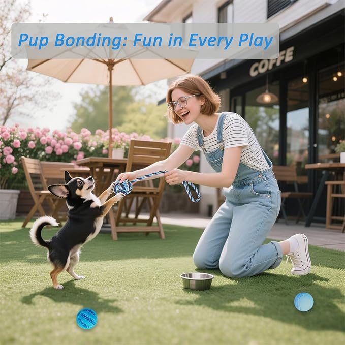 PawsAion 20 Pack Puppy Chew Toys for Teething & Fun (Chew Toys for Puppies 0-6 Months Bundle with Various Rubber Rings, Rope Toys and Balls for Interactive Play, Teeth Cleaning & Relief