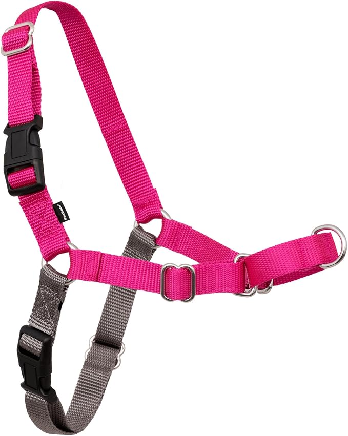 PetSafe Easy Walk Harness, No Pull Dog Harness, Raspberry, Small/Medium | Patented Martingale Loop Gives Gradual Shoulder Pressure to Stop Pulling, Front-Chest Leash Clip Prevents Gagging
