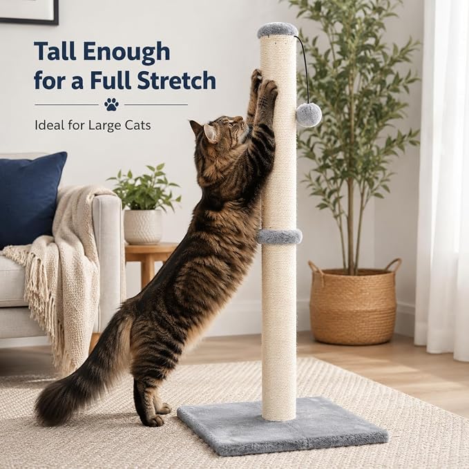 Dimaka 34" Tall Cat Scratching Post for Large Cats and Kittens, High Vertical Scratcher with Premium Natural Sisal Rope and Interactive Hanging Ball for Indoor Cat(Grey, 34 inches for Large Cats)