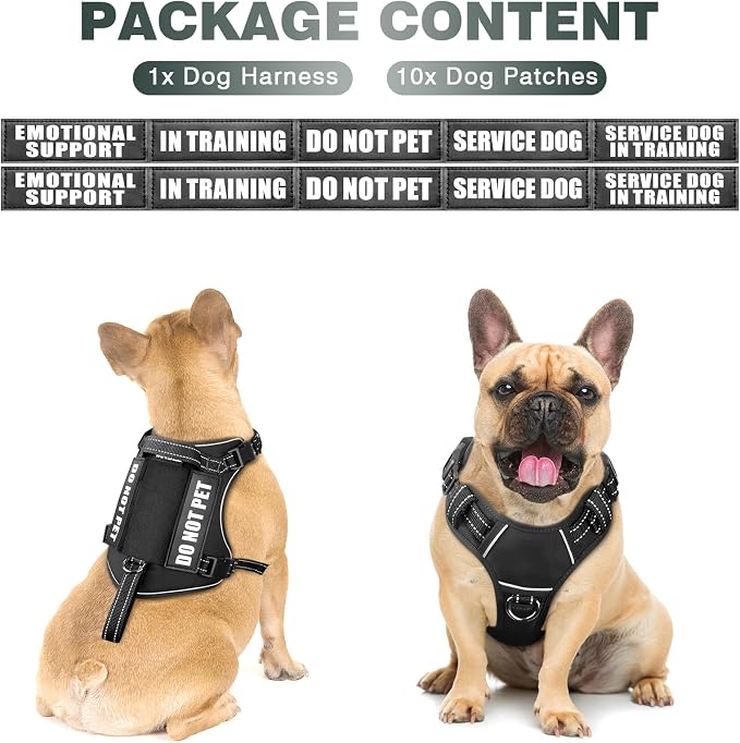 Tactical Dog Harness, No Pull Dog Harness for Medium Large Dogs with Handle & Molle, Military Service Dog Vest Harness in Training Pet Harness for Small Dogs