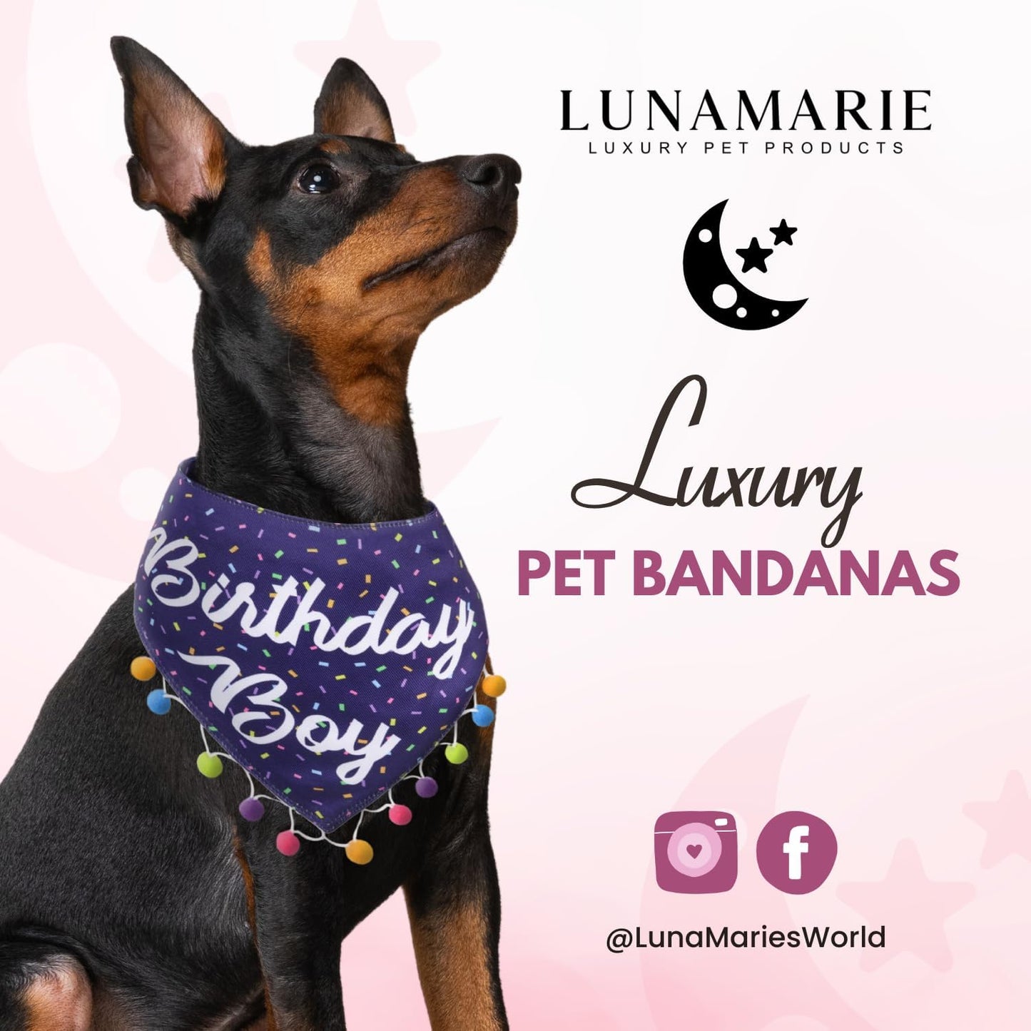 LunaMarie - Luxury Pet Birthday Bandanas -Premium & Silky Poly Fabric | 100% Handmade | Custom Shape Dual Layered (Birthday Boy, Small)