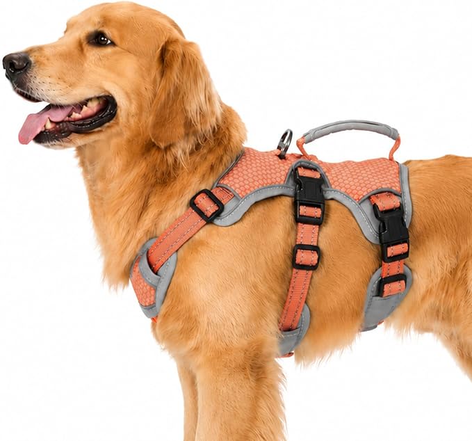 Escape Proof Dog Harness, Dachshund Harness, Reflective Dog Harness with Handle, Durable,Adjustable Vest for Small Medium Large Dogs Walking, Training, and Running Gear (Orange,L)