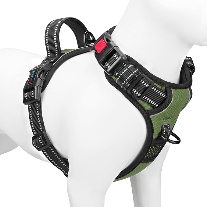 No Pull Dog Harness with Handle Front & Back Clip, Easy on | Lockable Snap Buckle at Neck, Adjustable Reflective Vest with Handle for Small Medium Large Dogs (XL, Misty Green)