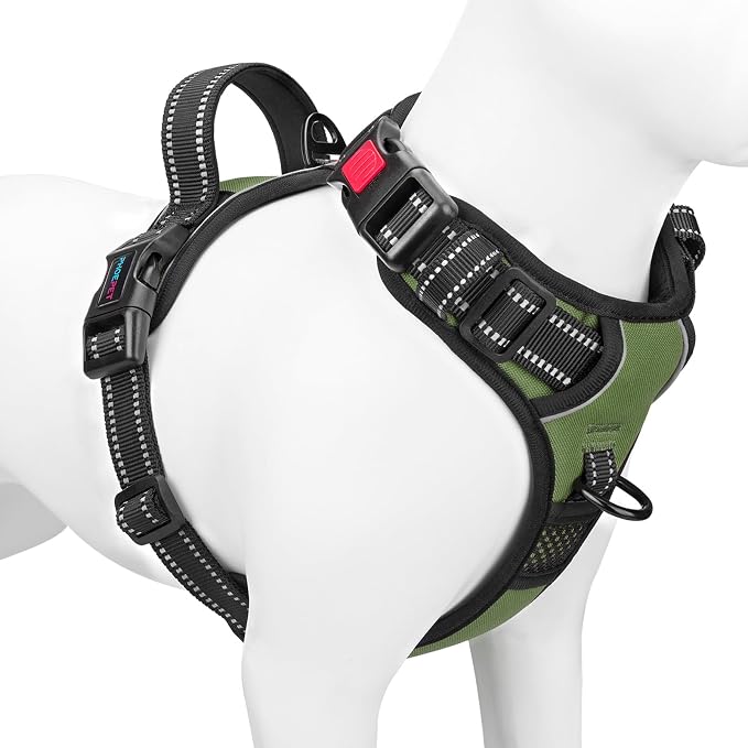 No Pull Dog Harness with Handle Front & Back Clip, Easy on | Lockable Snap Buckle at Neck, Adjustable Reflective Vest with Handle for Small Medium Large Dogs (XS, Misty Green)