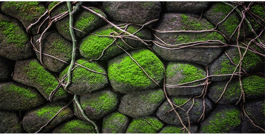 AWERT 60x24 inches Stone Aquarium Background Rock Fish Tank Background Rocky Terrarium Background Vinyl