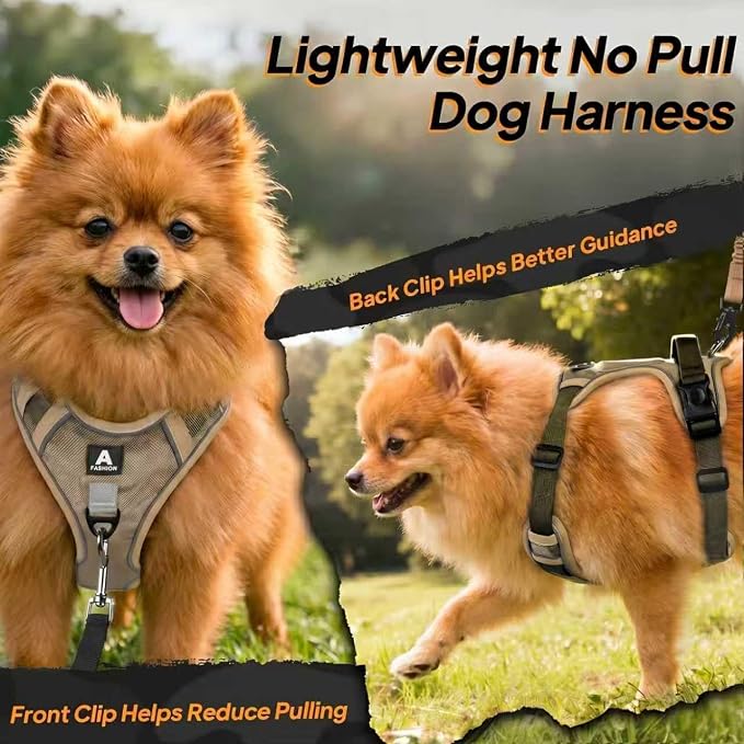 Twoear No Pull Dog Harness for Small Dog, Lightweight Tactical Dog Harness | Top Handle, Reflective, Breathable, Easy Buckles, Dual Clips, Easy to Put on & Take Off, Dog Vest for Walking Hiking Training