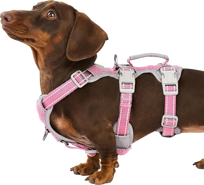 No Escape Dog Harness, Escape Proof Harness, Fully Reflective Harness with Padded Handle, Breathable,Durable, Adjustable Vest for Small Dogs Walking, Training, and Running Gear（Pink,S