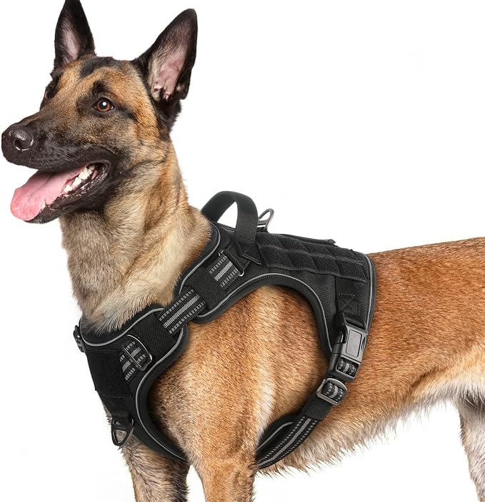 rabbitgoo Tactical Dog Harness for Large Dogs, No Pull Service Pet Vest | Military Molle System & Easy Control Handle, Adjustable and Reflective for Walking and Training, Black, Large
