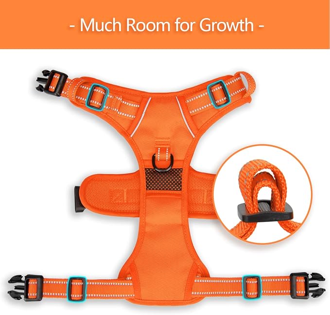 PoyPet No Pull Dog Harness, Reflective Vest with 2 Leash Clips & Handle | Lockable Neck Release Buckle, No Choke, Adjustable, Soft Padded, for Walking Training, Orange Matching Trim, Small