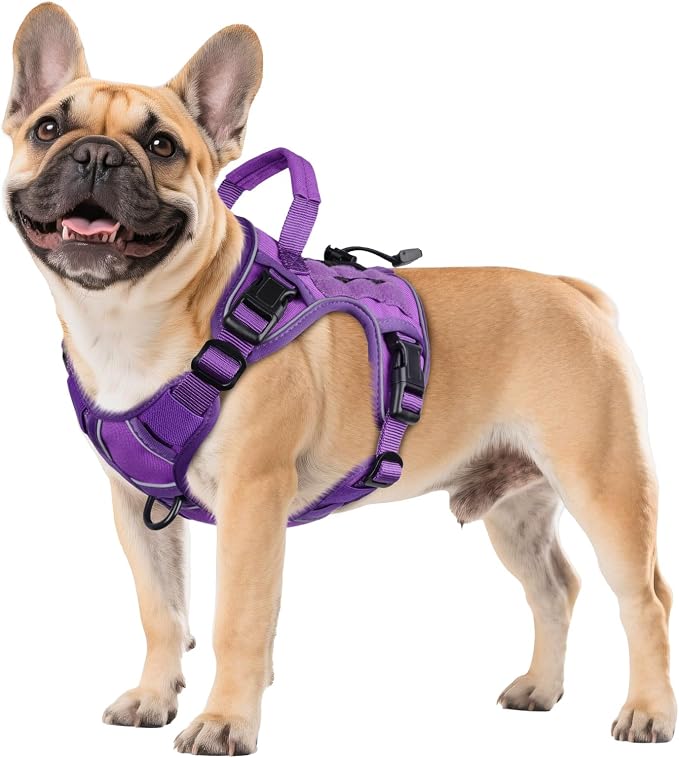 WINGOIN Purple Tactical Dog Harness for Small Dogs,No Pull Dog Harness | with Handle,Adjustable Reflective,Military K9 Style,Big Size Dog Vest,for German Shepherd,for Walking Training Hunting