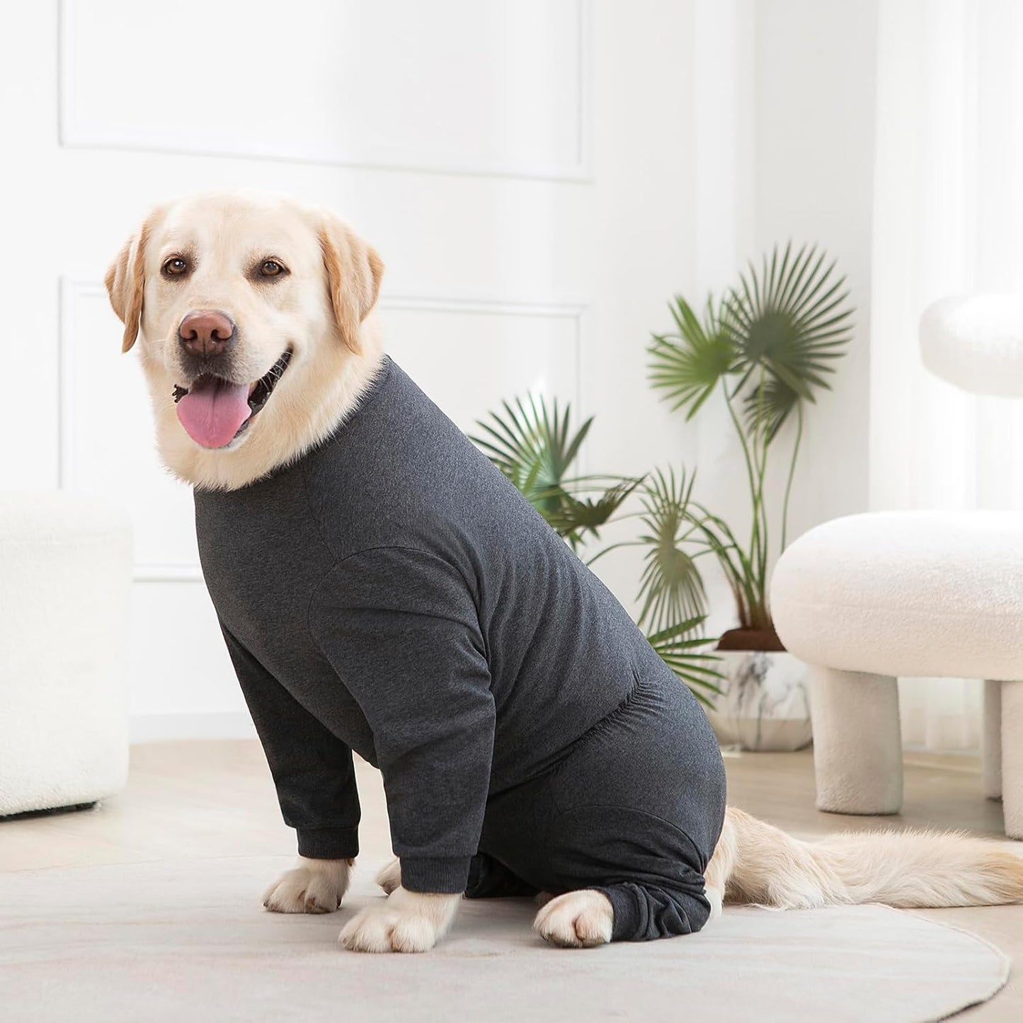 Yeapeeto Dog Onesie Surgery Recovery Suit for Large Medium Bodysuit Dogs Pajamas PJS Full Body for Shedding, Prevent Licking, Wound Protection, Cone Alternative(XL,Dark Grey)