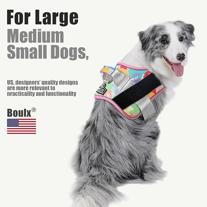 Dog Harness, No-Pull Reflective Dog Vest, Breathable Adjustable Pet Harness with Handle for Outdoor Walking - No More Pulling, Tugging or Choking (X-Large (Pack of 1), OilPainting)