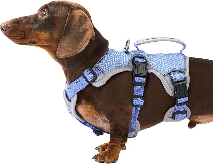 Escape Proof Dog Harness, Dachshund Harness, Reflective Dog Harness with Handle, Durable,Adjustable Vest for Small Medium Large Dogs Walking, Training, and Running Gear (Technicolor Blue,S)