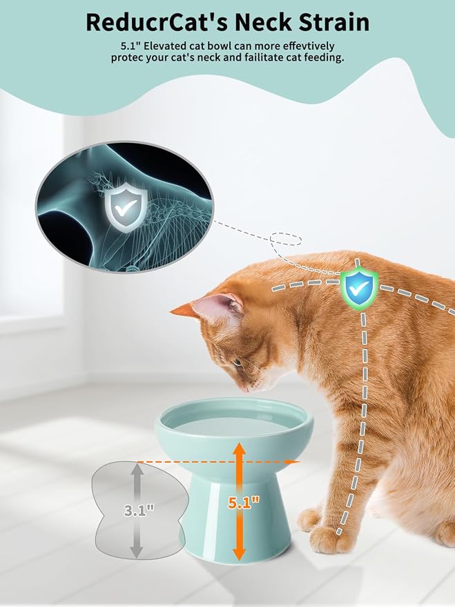 LoeJan Elevated Cat Food and Water Bowls Set, Extra Wide and Raised Ceramic Feeder, Anti-Vomit Whisker-Free Pressure Feeding Bowl for Kittens Adult Small Dogs, Blue