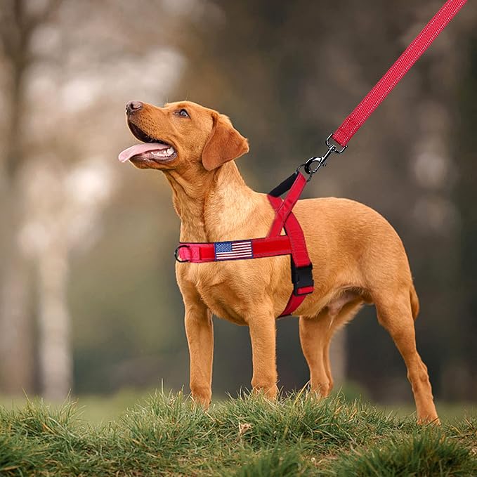 Annchwool No Pull Dog Harness with Soft Padded Handle,Reflective Strip Escape Proof and Quick Fit to Adjust Dog Harness,Easy for Training Walking for Small & Medium and Large Dogs(Red,L)