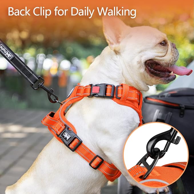 PoyPet No Pull Dog Harness, Reflective Vest with 2 Leash Clips & Handle | Lockable Neck Release Buckle, No Choke, Adjustable, Soft Padded, for Walking Training, Orange Matching Trim, X-Small
