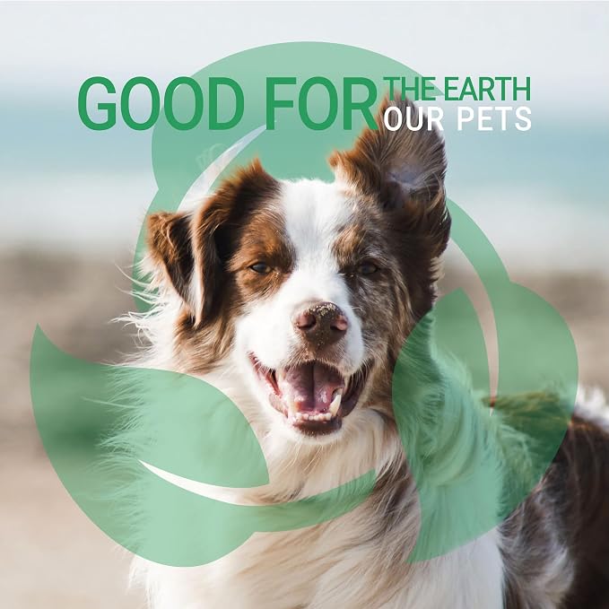 Green Groom Pet Odor Eliminator Dog Shampoo for Smelly Dogs, 1 Gallon, 32:1 | Concentrate Makes 32 Gallons; Odortrol Deodorizing Grooming Wash, Wet Dog Smell Remover, Fresh Scent, Natural Antioxidants
