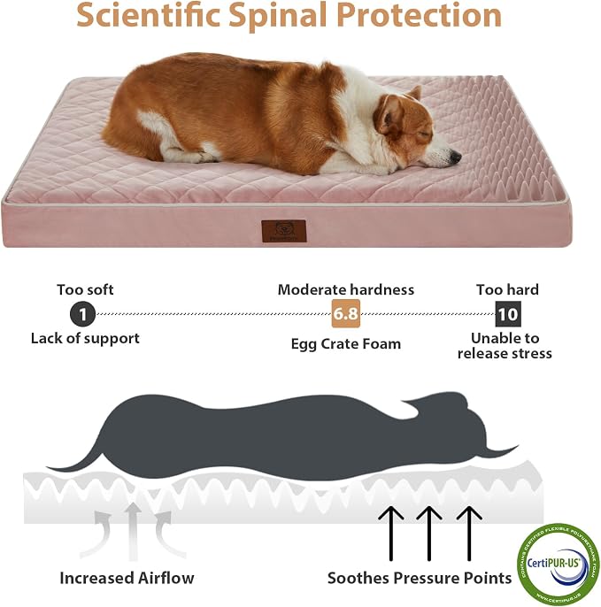 WNPETHOME Orthopedic Waterproof Large Sized Senior Dogs Bed for Comfy Sleep | Washable Ped Bed with Removable Cover, Multi-Needle Quilting Large Dogs Crate Bed for Dog Relax, Pink 36x27 Inch
