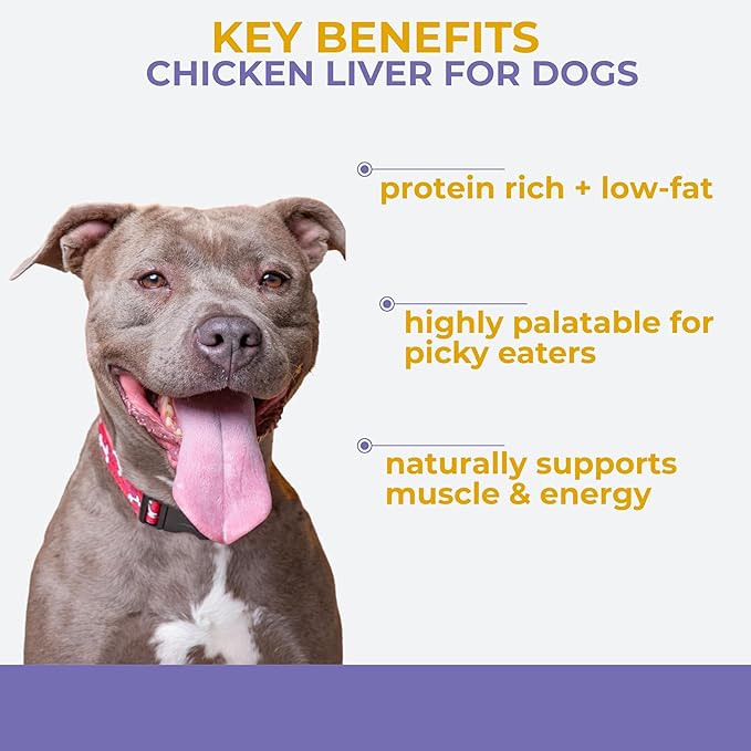 Momentum Carnivore Nutrition Freeze-Dried Chicken Liver Dog Treats & Cat Treats – Single-Ingredient, High-Protein, Grain-Free, Naturally Flavorful – Made in USA – 3.5 oz Bag