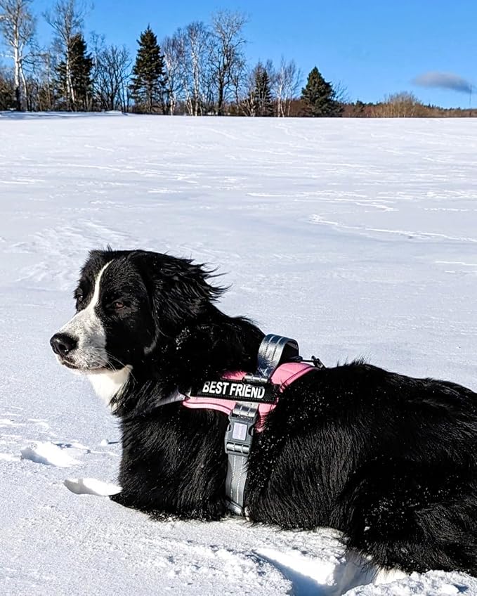 AUROTH Dog Harness for Large Dogs No Pull Tactical Harness and Leash Set | with Leash Clips, LED light clip, Breathable Mesh Padded No Choke, Easy Walking and Training, Pink, Large