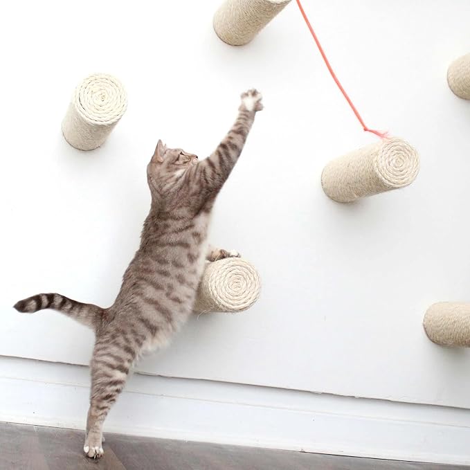 Catastrophic Creations Floating Cat Scratching Post, Hand-Crafted Sisal Cat Scratcher Post, Wall Cat Shelves & Scratching Posts for Indoor Cats, Durable & Modern Cat Furniture (3 Pc)