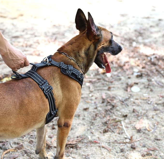 ICEFANG Dog Halter Harness with Metal Buckles,Dog Strap Vest for Medium Dogs