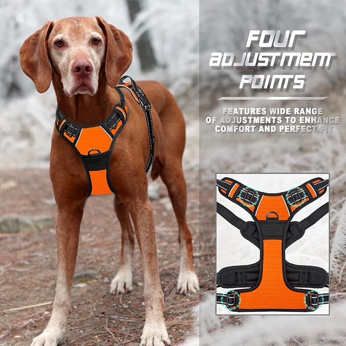 BARKBAY Dog Harness No Pull for Small Sized Dog Front Back Clips,Dog Vest | Soft Padded No Choke With Handle,Easy On&Off,Adjustable Reflective For Walking Training Running(Orange,S)