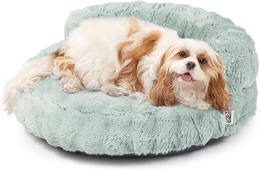 EHEYCIGA Soft Cat Couch Bed for Indoor Cats, Fluffy Small Dog Bed with Removable Washable Cover, Bolster Pet Sofa, Waterproof and Non-Slip, 26" x 26"x 8", Green