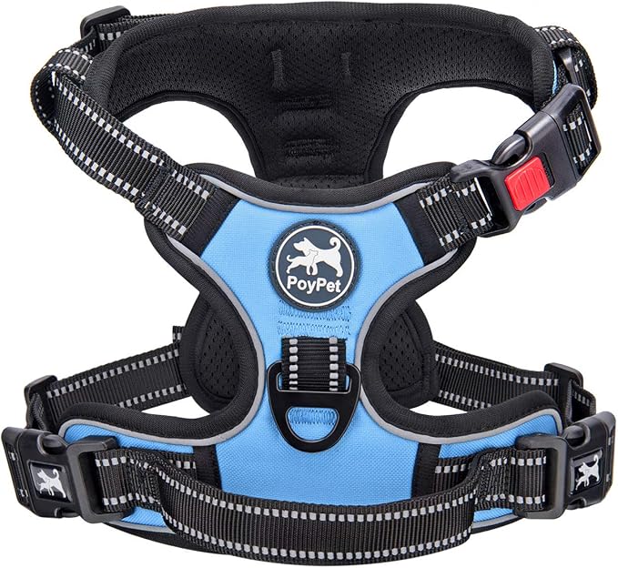 PoyPet No Pull Dog Harness Medium with Front Clip & Neck Release Buckle | No Choke, Adjustable Vest, Reflective, Back Clip, Lockable, Soft Padded Handle for Walking Training, M, Light Blue