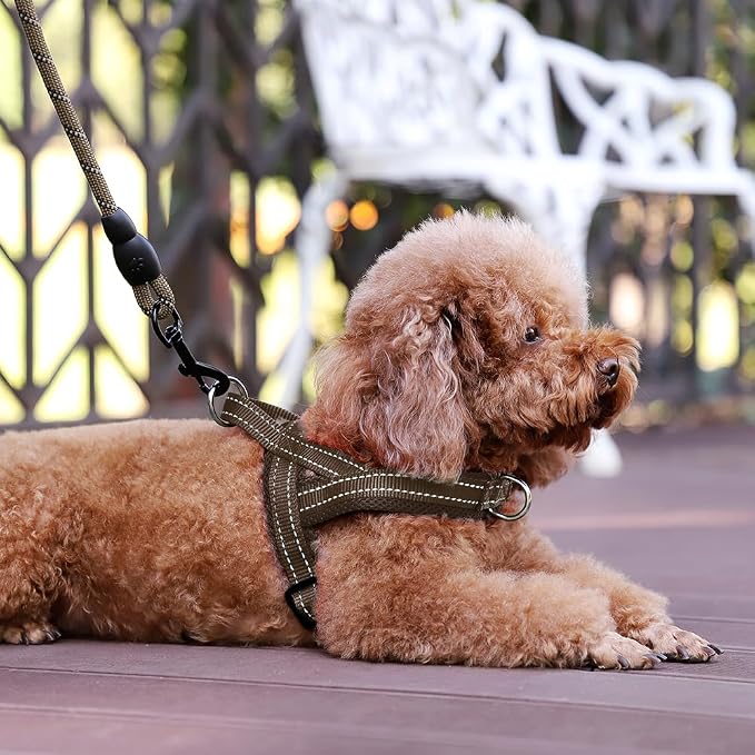 Plutus Pet No Pull Dog Harness for Medium Sized Dog, Breathable Mesh Padded | Adjustable Reflective with Handle, Escape Proof, Quick Fit Pet Vest, Front Clip, for Training and Walking, Chocolate, M