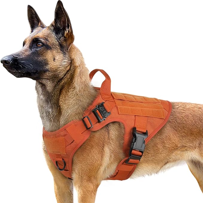 rabbitgoo Tactical Dog Harness for Large, Heavy Duty Military No Pull Vest | Sturdy Metal Buckles, 5 Adjustments, Molle System, Powerful Pullers for Training, Hunting, Outdoor, Orange, Large