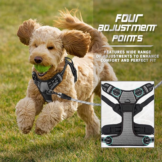 BARKBAY Dog Harness No Pull for Small Sized Dog Front Back Clips,Dog Vest | Soft Padded No Choke With Handle,Easy On&Off,Adjustable Reflective For Walking Training Running(Dark Grey,XS)
