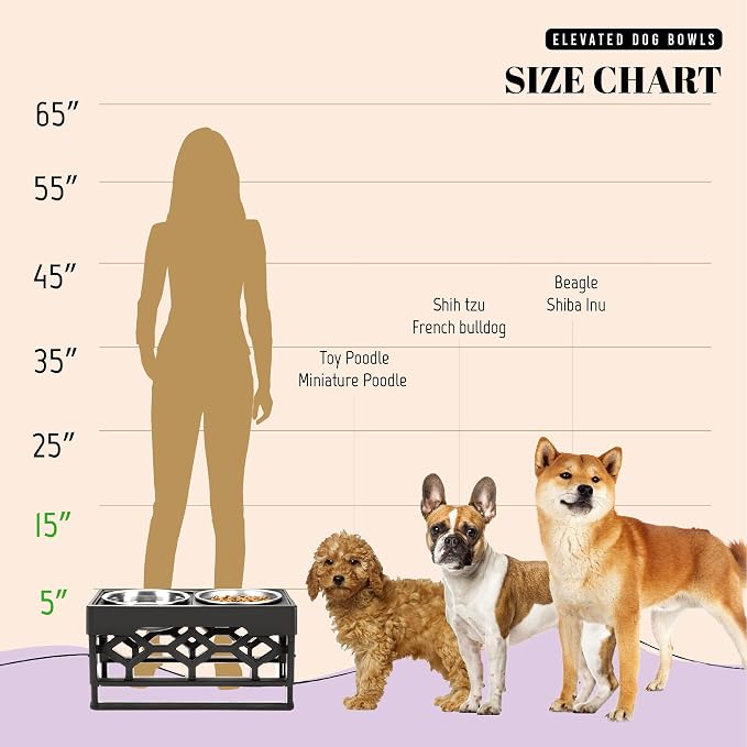 AVERYDAY Small Dog Bowls Elevated, 4 Height Adjustable Raised Dog Bowl Stand with 2 Stainless Steel Food and Water Bowls Set, Tall Dogs Feeding Station with Anti-Slip Base for Small Medium Breeds Dogs