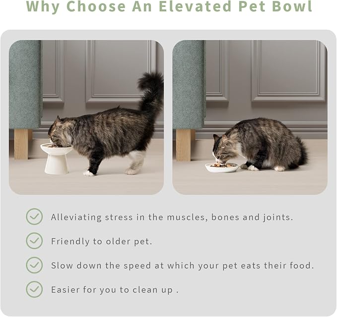 CEEFU 2 Elevated Ceramic Cat Bowls Extra Wide for Food & Water – Whisker Fatigue Shallow Food Dish, Lead & Cadmium-Free, Raised Height for Cats and Dogs, White