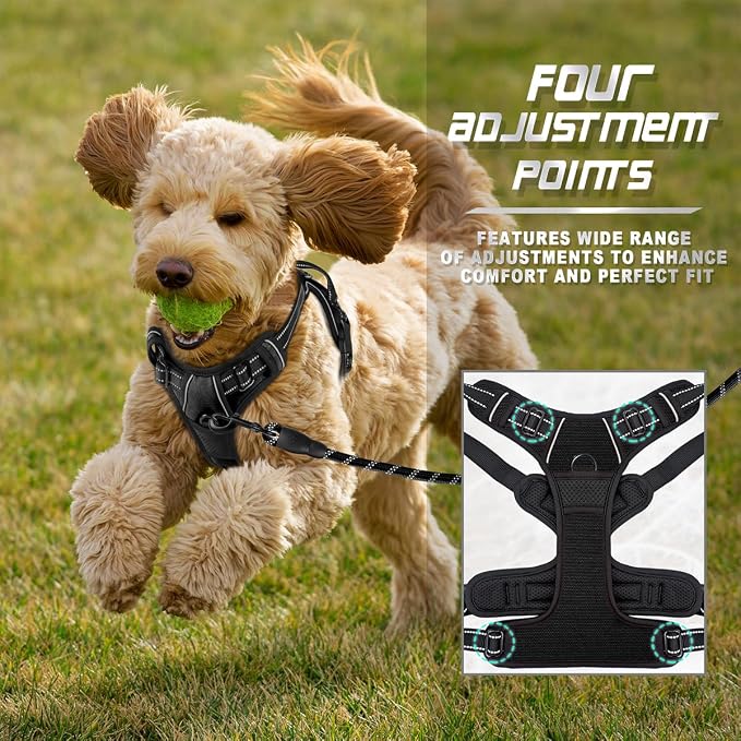 BARKBAY Dog Harness No Pull for Small Sized Dog Front Back Clips,Dog Vest | Soft Padded No Choke With Handle,Easy On&Off,Adjustable Reflective For Walking Training Running(Black,XS)
