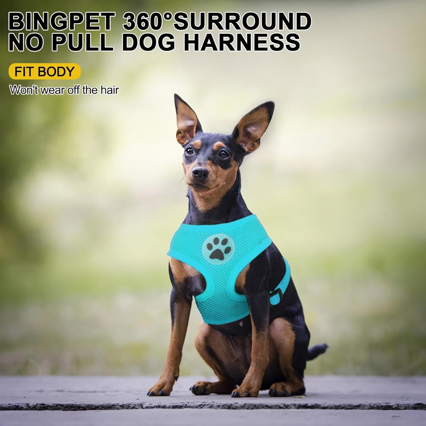 BINGPET No Pull Dog Harness,Soft Mesh Breathable All Weather Vest Harness,Safety Protection Design Durable Adjustable Step-in Easy Walk Dog Harness for Small Medium Large Dogs(RoyalBlue,XS)