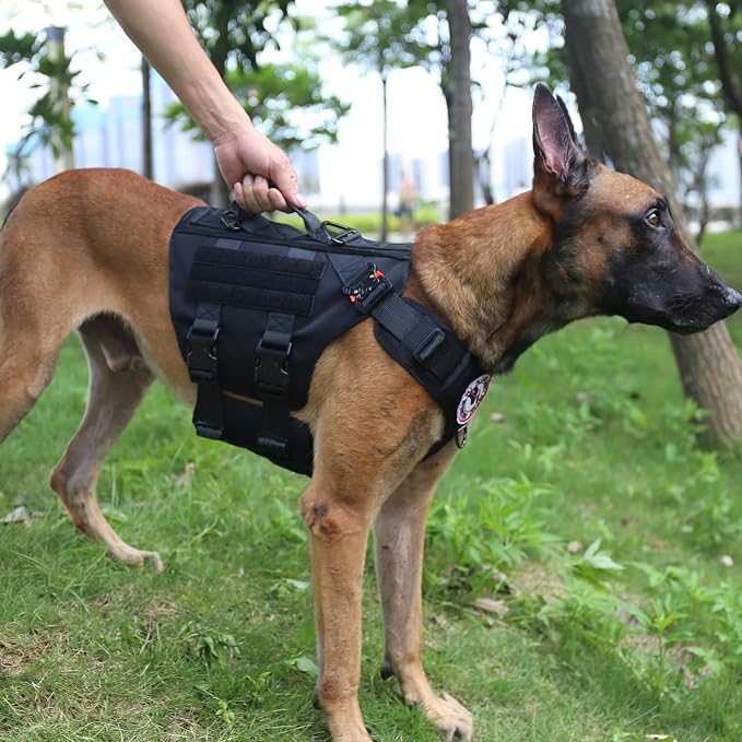 ICEFANG No Pull Tactical Dog Harness for Large Dogs,Adjustable Dog Vest | Control Handle,MOLLE Panel,Front Hook,3 Leash Clips,Soft Padded,for walking training,Black,Large