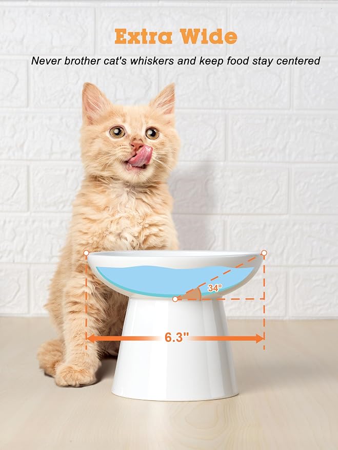 LoeJan Elevated Cat Food and Water Bowls Set, Extra Wide and Raised Ceramic Feeder, Anti-Vomit Whisker-Free Pressure Feeding Bowl for Kittens Adult Small Dogs