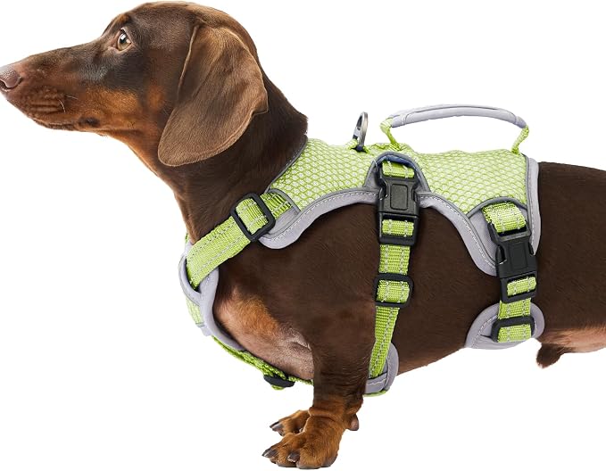Escape Proof Dog Harness, Dachshund Harness, Reflective Dog Harness with Handle, Durable,Adjustable Vest for Small Medium Large Dogs Walking, Training, and Running Gear (Green,S)